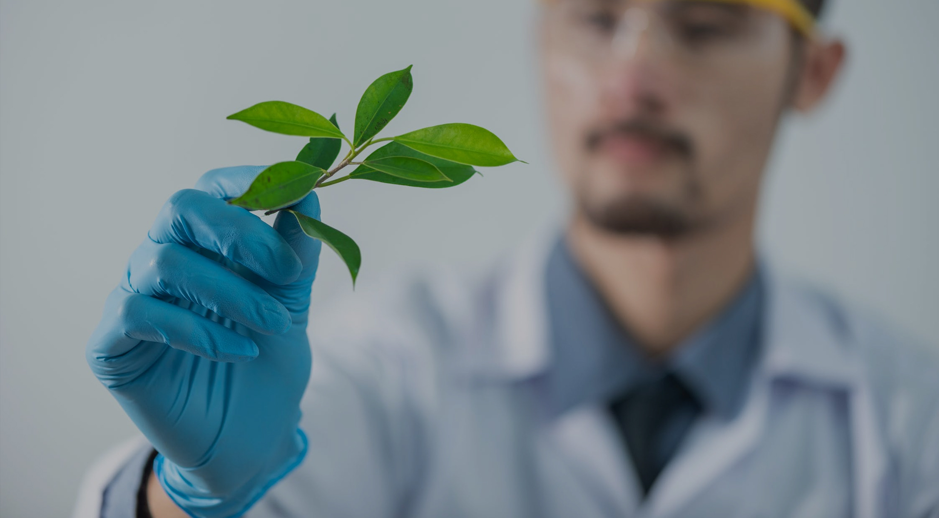 欧博abg - 官方网站登录入口