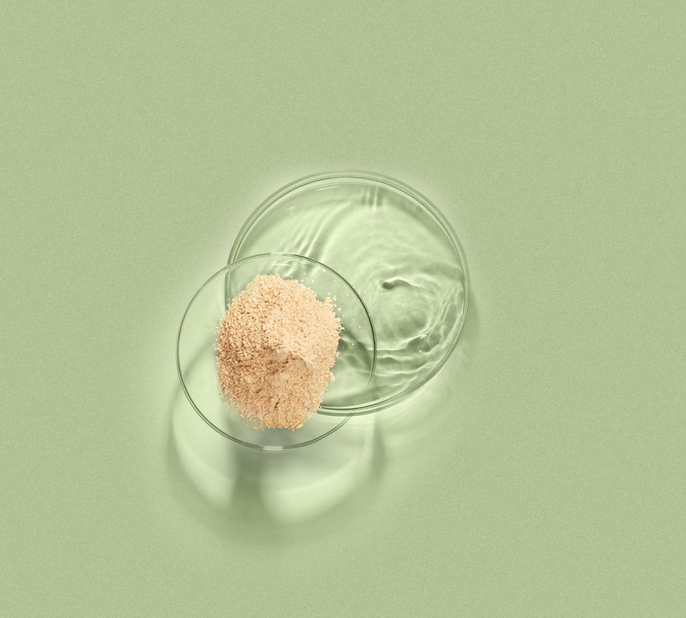 欧博abg - 官方网站登录入口