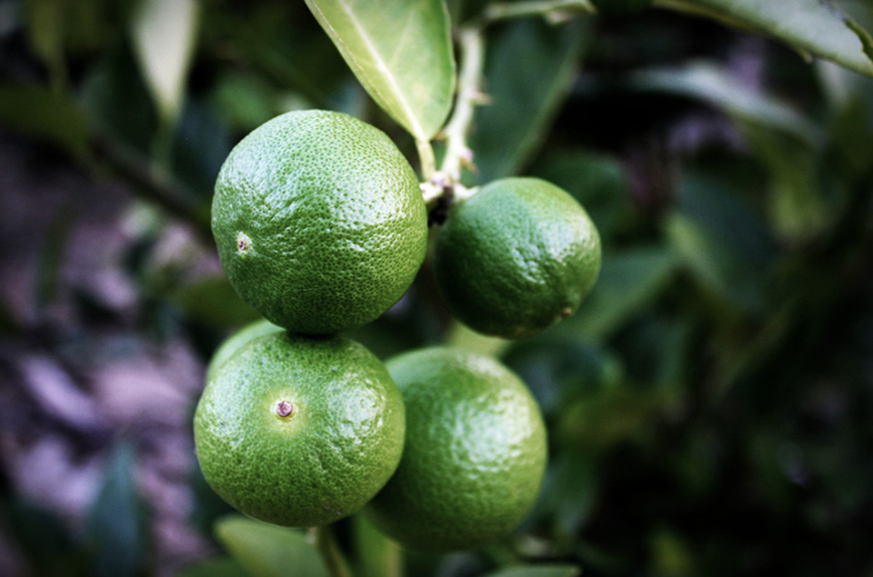 欧博abg - 官方网站登录入口