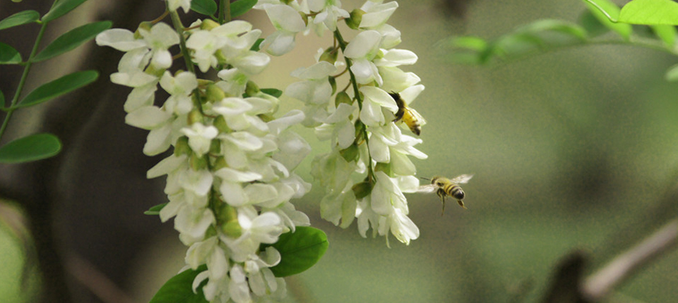 欧博abg - 官方网站登录入口