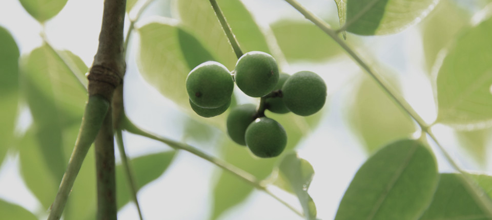 欧博abg - 官方网站登录入口