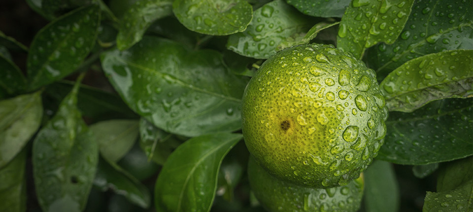 欧博abg - 官方网站登录入口